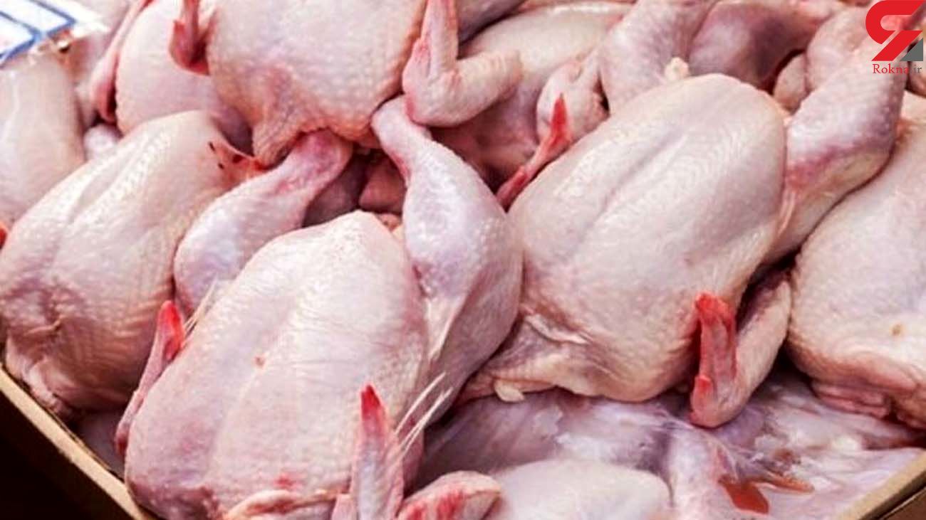 قیمت مرغ و تخم مرغ در بازار به نرخ مصوب می رسد قیمت مرغ و تخم مرغ در بازار به نرخ مصوب می رسد