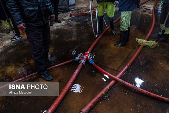 جزئیات آتشسوزی عمدی خودروها در ستارخان جزئیات آتشسوزی عمدی خودروها در ستارخان