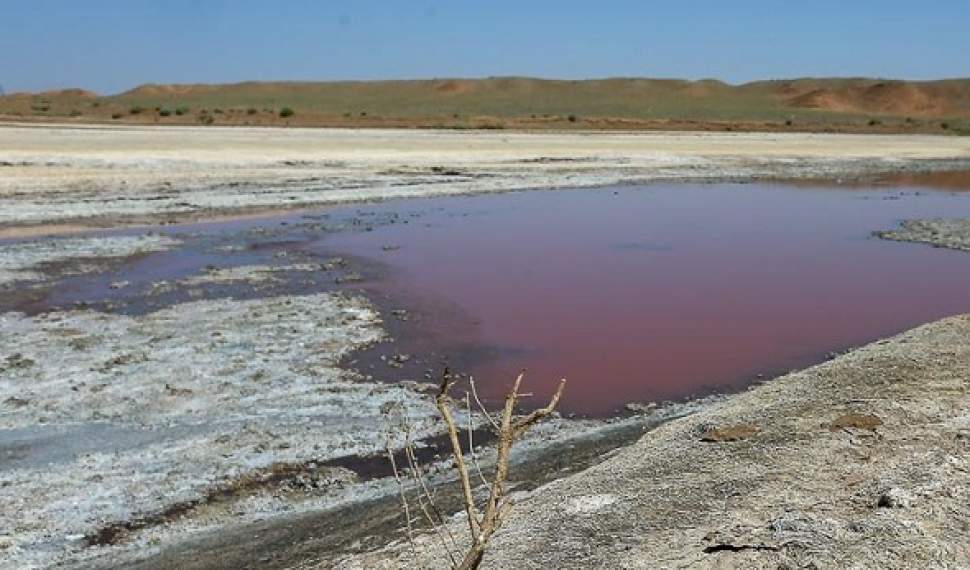مرگ تالاب ها جلوي چشم مسئولان مرگ تالاب ها جلوي چشم مسئولان