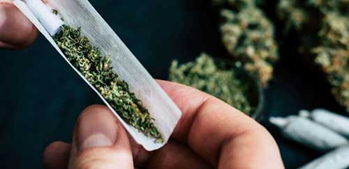 آمار عجیب و غریب از دسترسی به «گُل» در تهران آمار عجیب و غریب از دسترسی به «گُل» در تهران