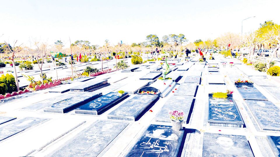 مخالفت با افزایش جریمه درختکشی مخالفت با افزایش جریمه درختکشی