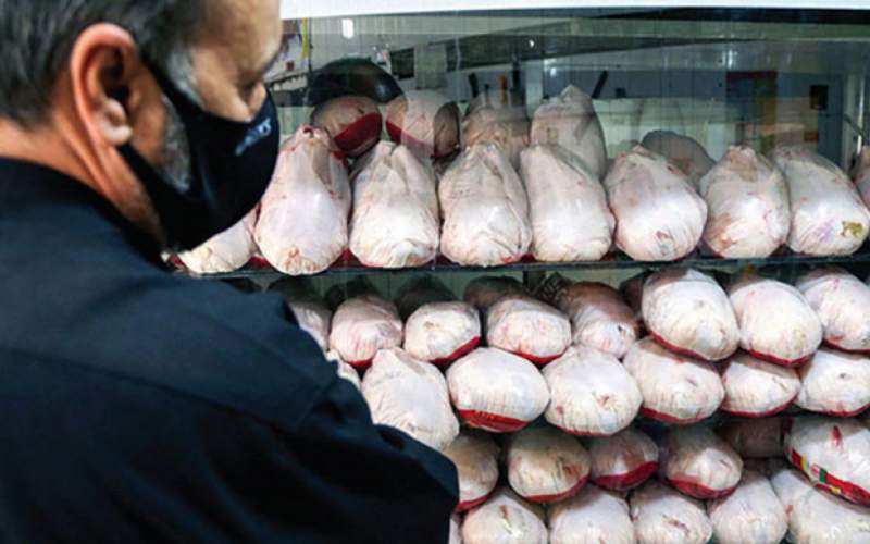 منتظر مرغ کیلویی ۸۰ هزار تومان باشید منتظر مرغ کیلویی ۸۰ هزار تومان باشید