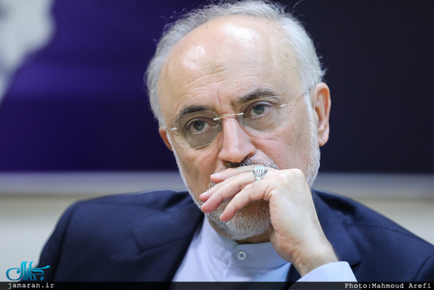 صالحی: اگر زمانی که رهبری موافقت کرد مذاکره دوجانبه با آمریکا را سریعا آغاز میکردیم و همراهی می کردند اصلا به برجام نمیرسیدیم صالحی: اگر زمانی که رهبری موافقت کرد مذاکره دوجانبه با آمریکا را سریعا آغاز میکردیم و همراهی می کردند اصلا به برجام نمیرسیدیم