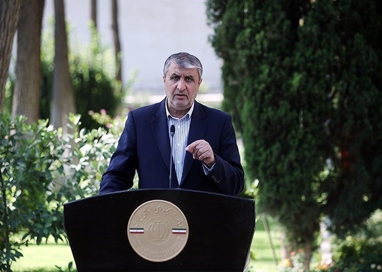 رئیس سازمان انرژی اتمی: فرانسه بیشترین مزاحمت را در مذاکرات داشته رئیس سازمان انرژی اتمی: فرانسه بیشترین مزاحمت را در مذاکرات داشته