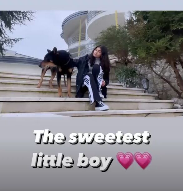 نگهبان غول پیکر ویلای لاکچری علی دایی!+عکس نگهبان غول پیکر ویلای لاکچری علی دایی!+عکس