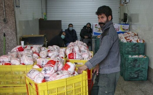 قیمت انواع مرغ و تخم مرغ در آخرین روز پاییز+ جدول قیمت انواع مرغ و تخم مرغ در آخرین روز پاییز+ جدول