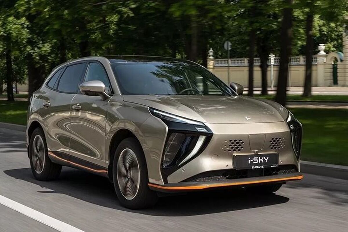 قیمت لاماری در بازار امروز ۲۷ اسفند ۱۴۰۲