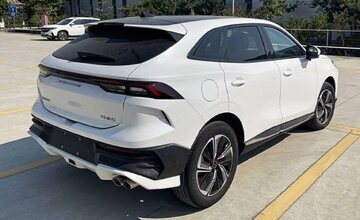 ورود یک لاماری ایمای متفاوت به بازار / عکس ورود یک لاماری ایمای متفاوت به بازار / عکس