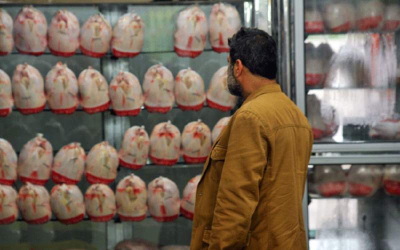 چرایی افزایش قیمت مرغ به کیلویی ۱۰۰ هزار تومان چرایی افزایش قیمت مرغ به کیلویی ۱۰۰ هزار تومان