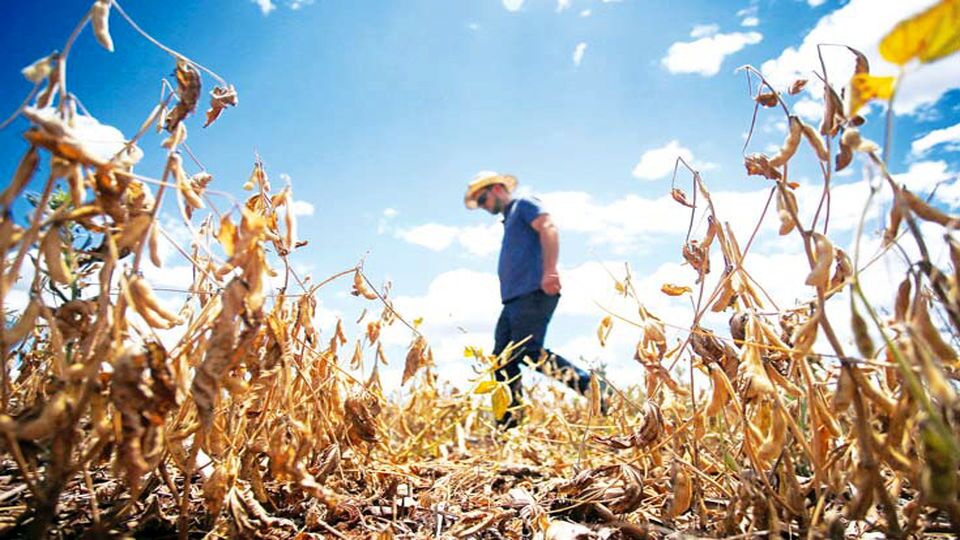 اقتصاد گرفتار «النینو» اقتصاد گرفتار «النینو»