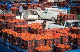 سبقت گوجهفرنگی از دلار سبقت گوجهفرنگی از دلار