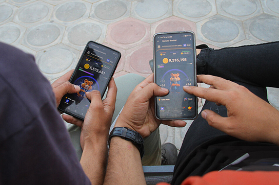 اگر ناتکوین و همستر را از دست دادید، این فرصت را دریابید