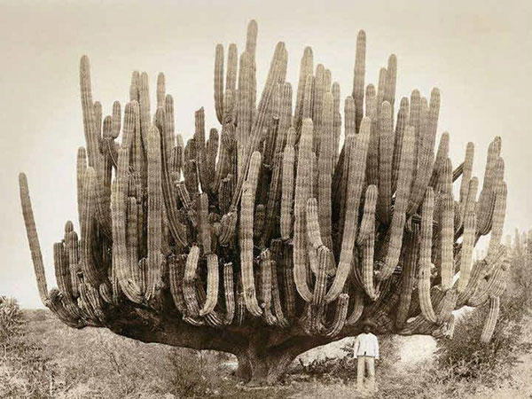 این عکس‌ها ثابت می‌کنند که چقدر 100 سال پیش متفاوت بوده!