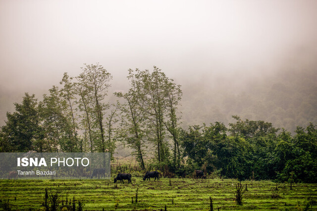 اختلاف 40درجهای دما بین این دو نقطه از ایران