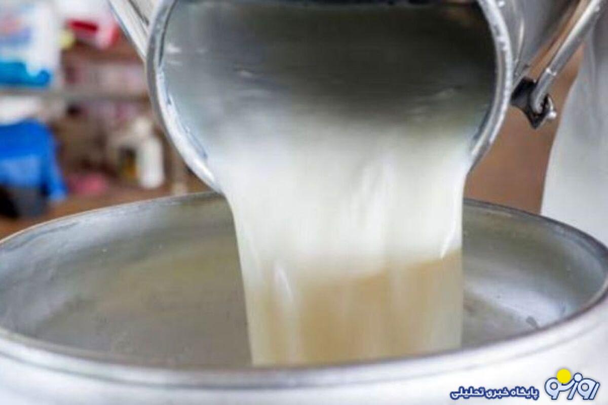 شیر گران میشود؟ شیر گران میشود؟