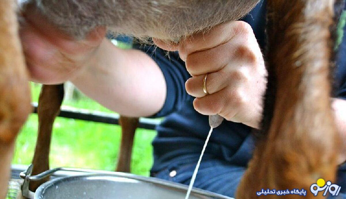 ۹۳۰ کارخانه تعطیل شد | سرانه مصرف لبنی ۸۰ کیلو کمتر شد ۹۳۰ کارخانه تعطیل شد | سرانه مصرف لبنی ۸۰ کیلو کمتر شد