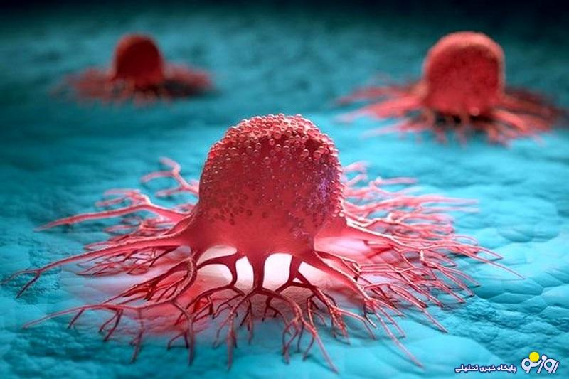 خوردن پنیر برای خانم ها سرطانزاست؟ خوردن پنیر برای خانم ها سرطانزاست؟