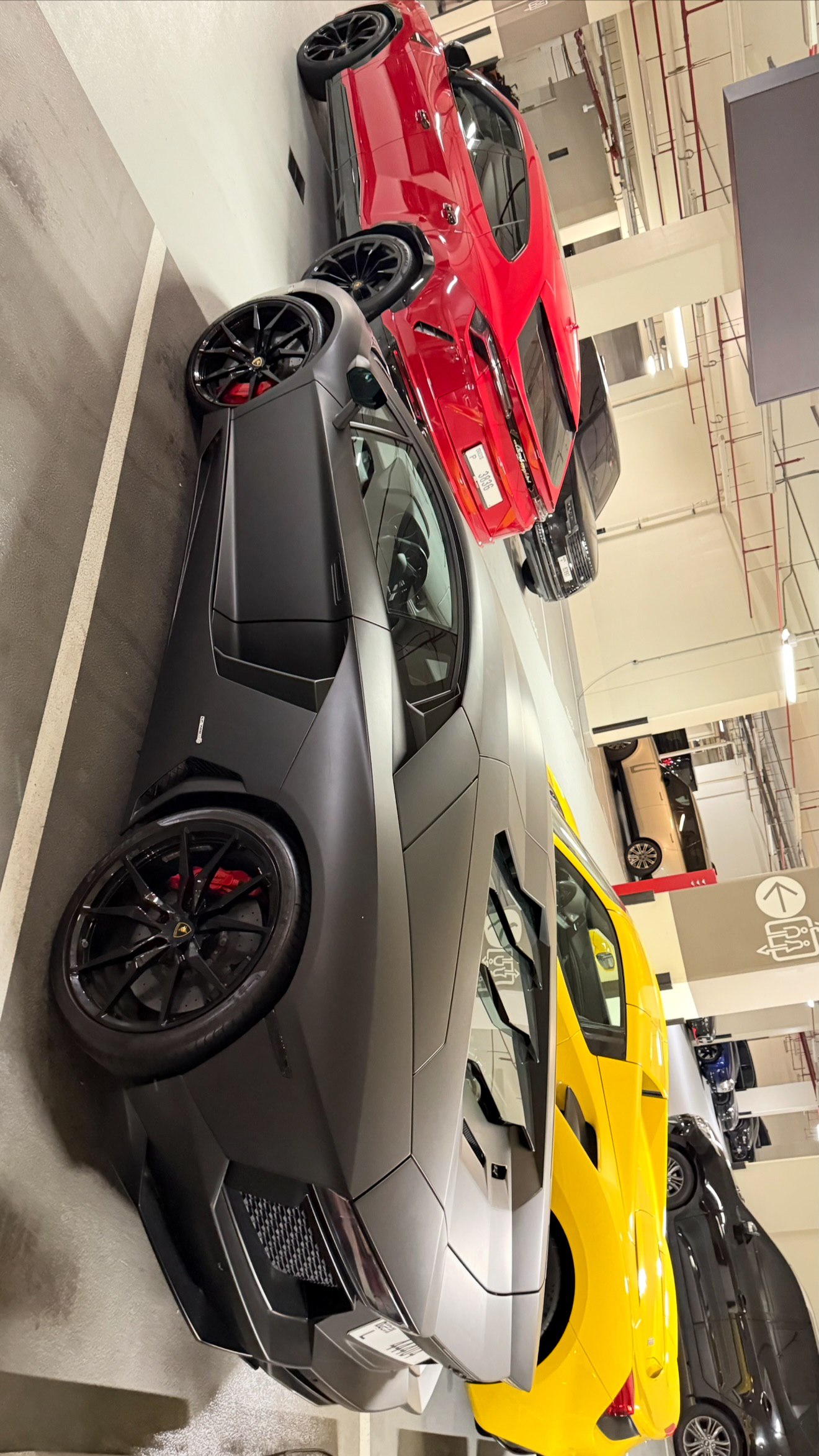 photo_2025-04-28_22-12-07