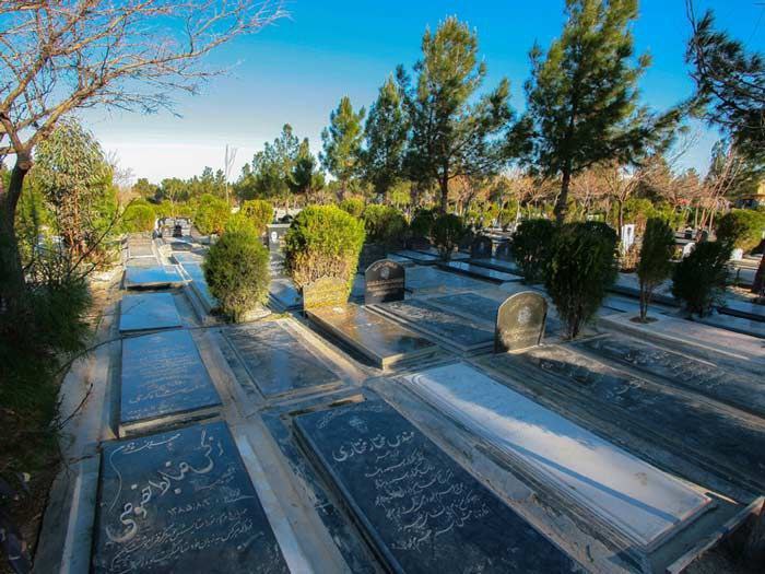 photo_2025-06-05_08-50-46