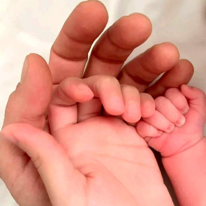 فتحعلی اویسی