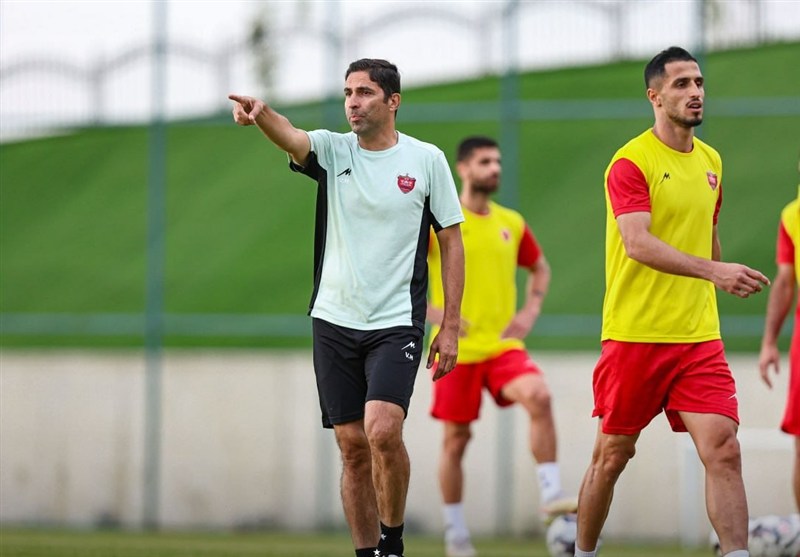 مذاکرات نهایی پرسپولیس با یک مدافع و مهاجم/ هاشمیان: در هر پست رزومه ۵۰ بازیکن را دیدهایم مذاکرات نهایی پرسپولیس با یک مدافع و مهاجم/ هاشمیان: در هر پست رزومه ۵۰ بازیکن را دیدهایم