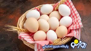 چرا تخم مرغ گران شد؟ چرا تخم مرغ گران شد؟