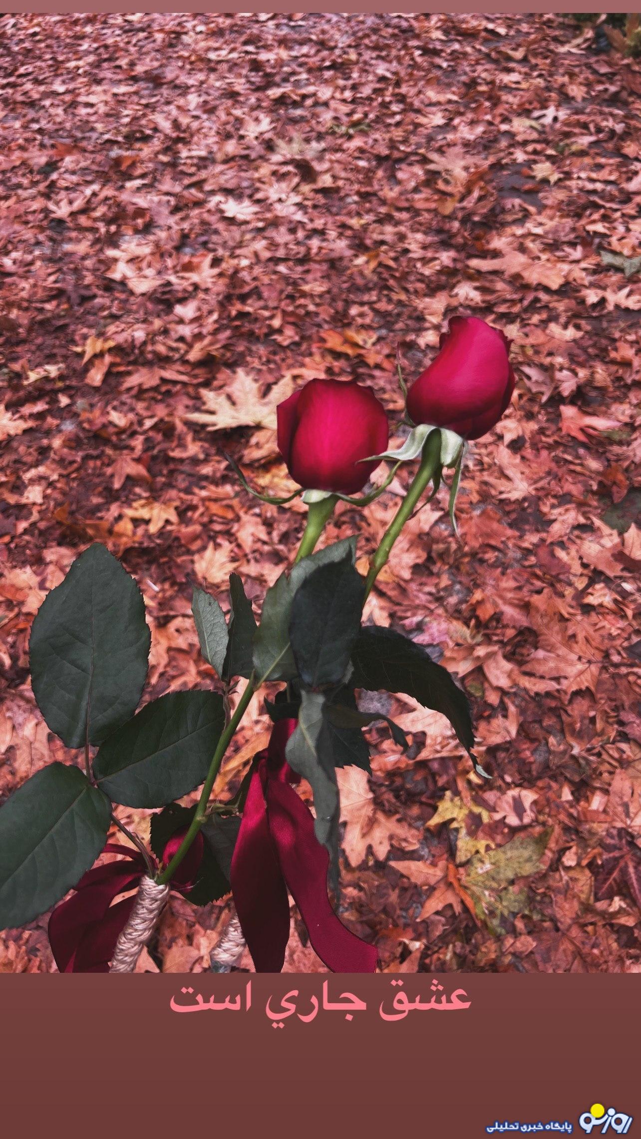 عکس پاییزی فریبا نادری! عکس پاییزی فریبا نادری!