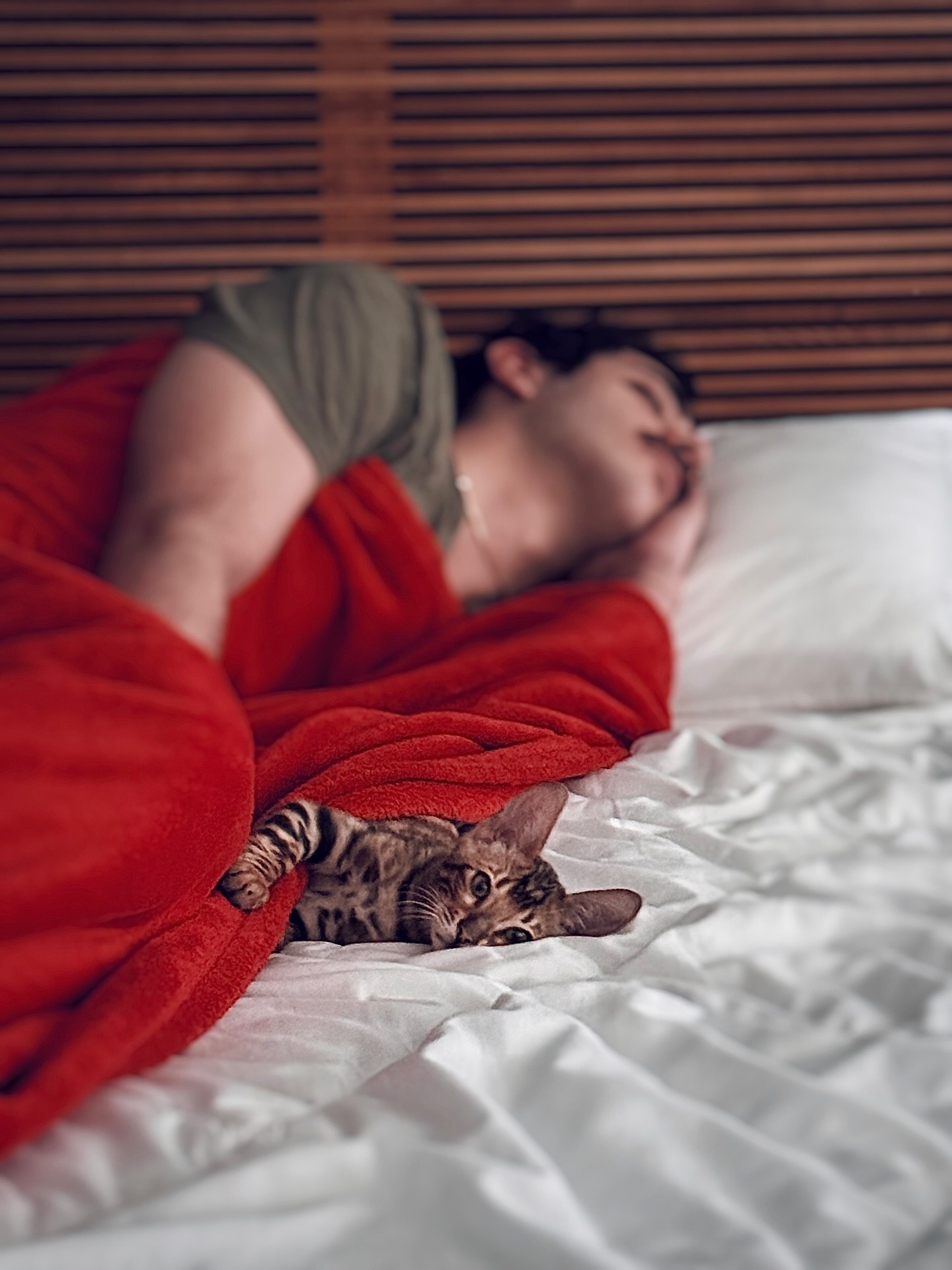 عکس متفاوت علی شادمان با حیوان خانگی بامزهاش عکس متفاوت علی شادمان با حیوان خانگی بامزهاش