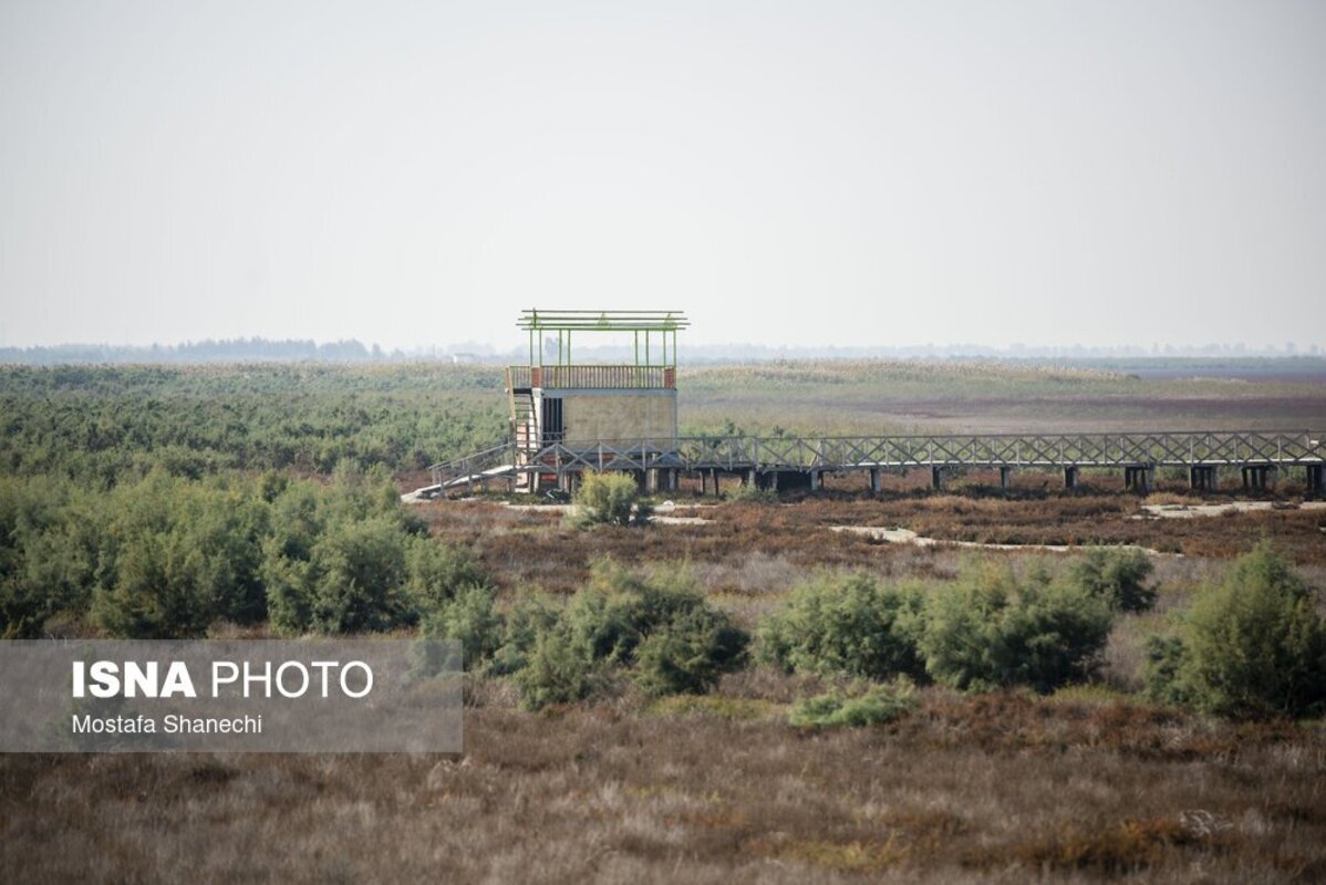 دریای خزر آخرین نفس‌هایش را می‌کشد