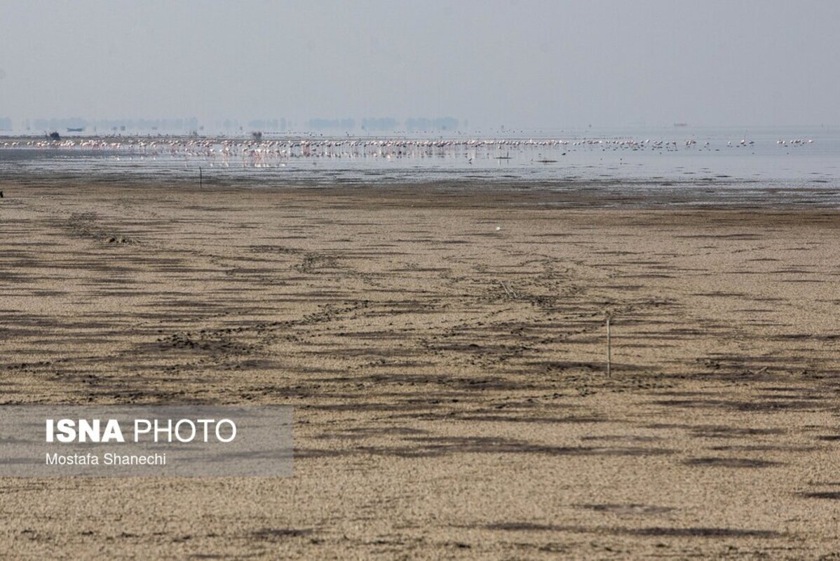 دریای خزر آخرین نفس‌هایش را می‌کشد