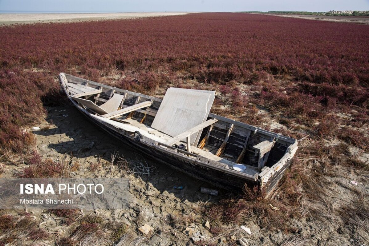 دریای خزر آخرین نفس‌هایش را می‌کشد